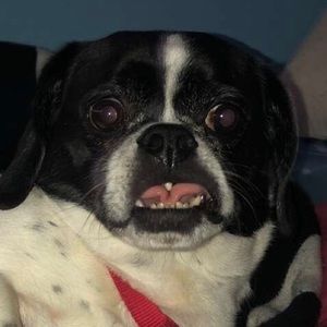 Meet your Posher, Michele